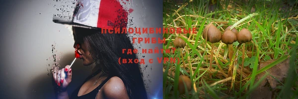индика Алексеевка
