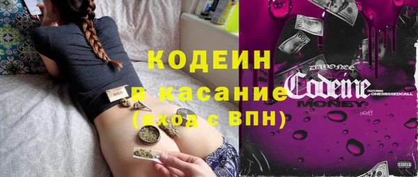 индика Алексеевка