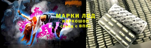 индика Алексеевка